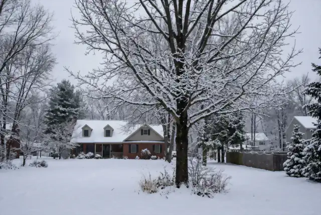 Snow-covered residential yard with a large bare tree in winter